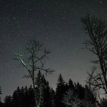 Himmelsfreuden: Der Nachthimmel im Februar bietet ein stellares Schaufenster