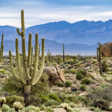Visum für Arizona